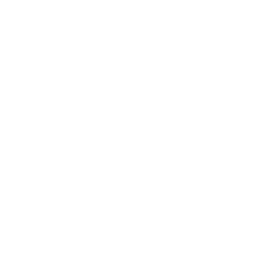 Han Chinese Cuisine logo